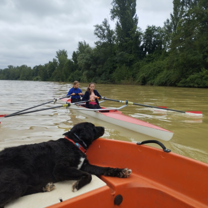 Stage été multi activités